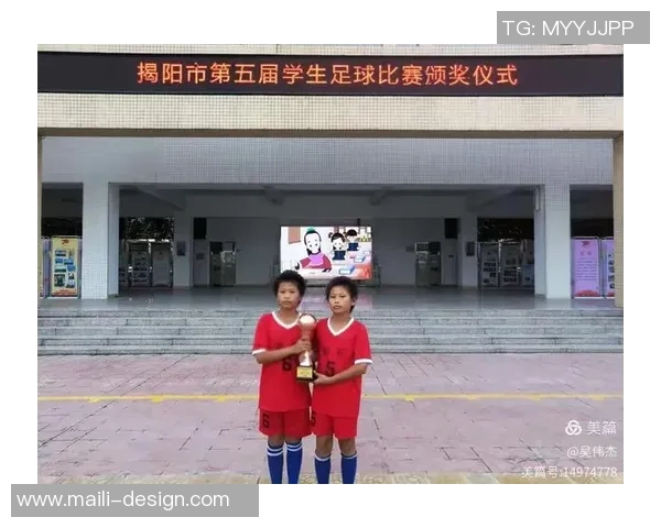 平凡的足球带给我们的感悟与人生启示探讨